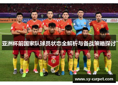 亚洲杯前国家队球员状态全解析与备战策略探讨