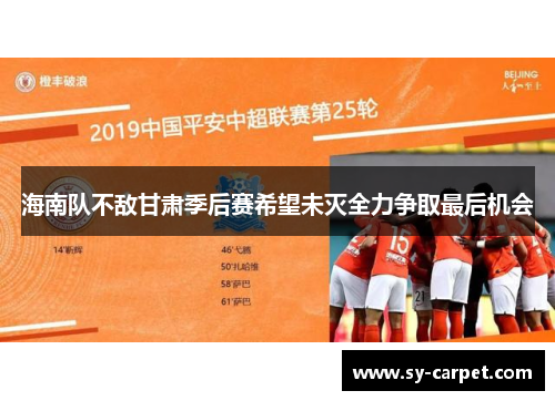 海南队不敌甘肃季后赛希望未灭全力争取最后机会