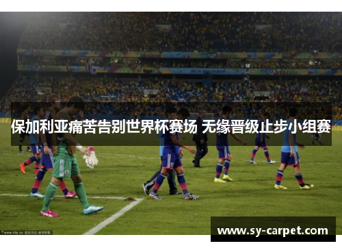 保加利亚痛苦告别世界杯赛场 无缘晋级止步小组赛