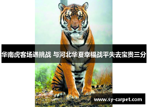 华南虎客场遇挑战 与河北华夏幸福战平失去宝贵三分