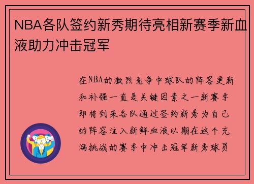 NBA各队签约新秀期待亮相新赛季新血液助力冲击冠军
