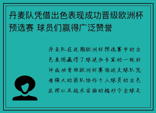 丹麦队凭借出色表现成功晋级欧洲杯预选赛 球员们赢得广泛赞誉